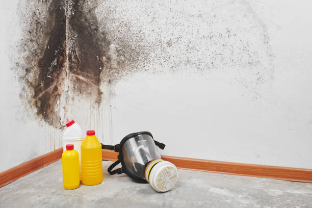 Best Certified Mold Removal  in Wolverine Lake, MI