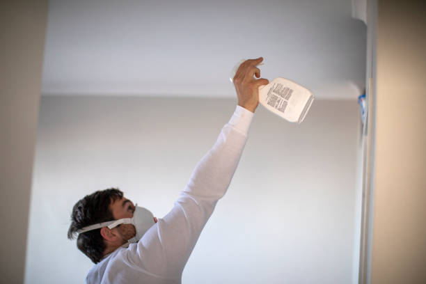 Best Local Mold Removal Service  in Wolverine Lake, MI