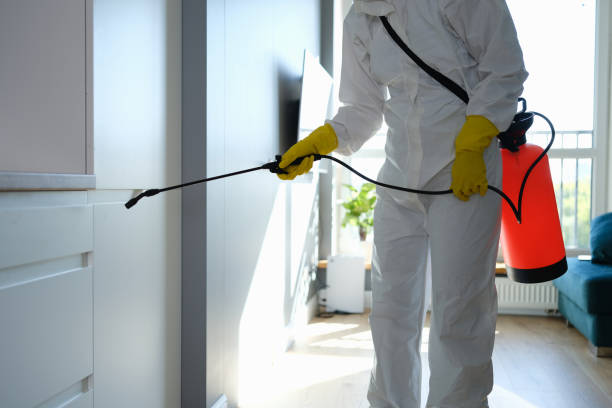 Best Home Mold Removal  in Wolverine Lake, MI