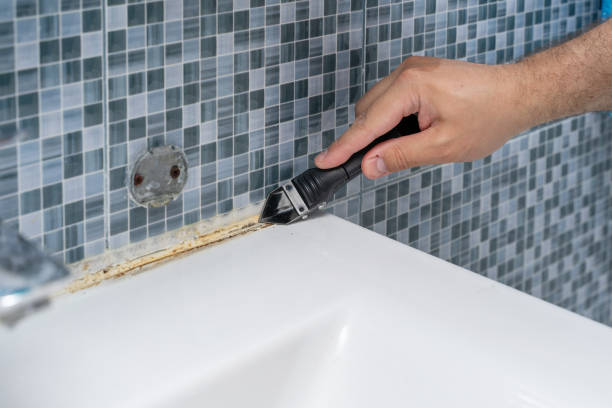 Best Fast Mold Removal  in Wolverine Lake, MI