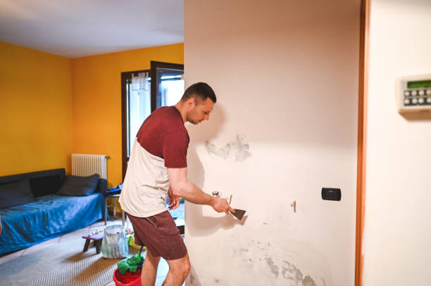Best Commercial Mold Removal  in Wolverine Lake, MI